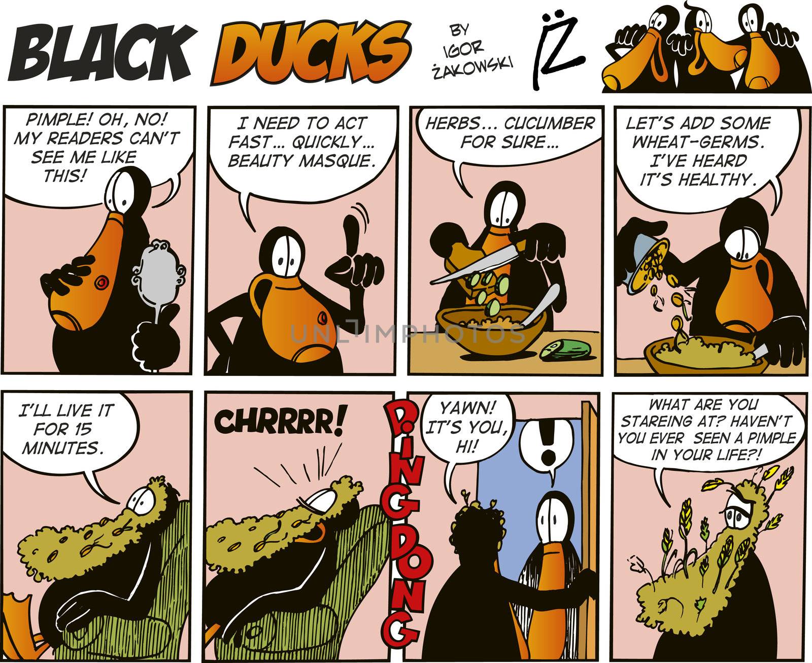 Black Ducks Comic Strip episode 37