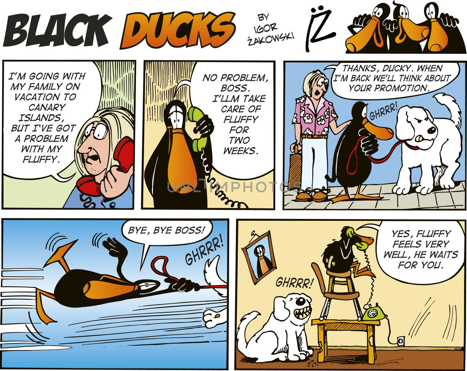 Black Ducks Comic Strip episode 50