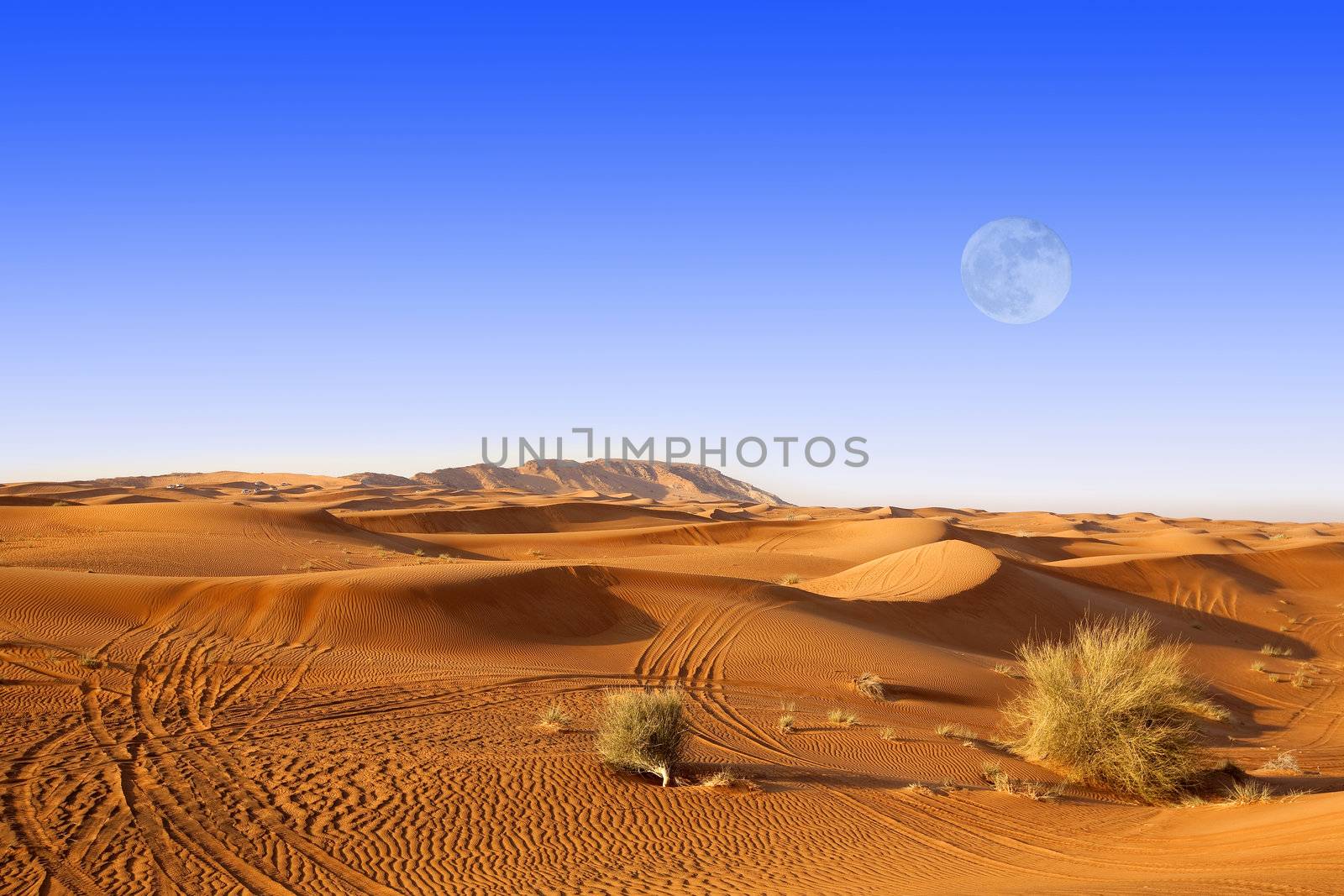 Sand dunes and moon in the Dubai desert