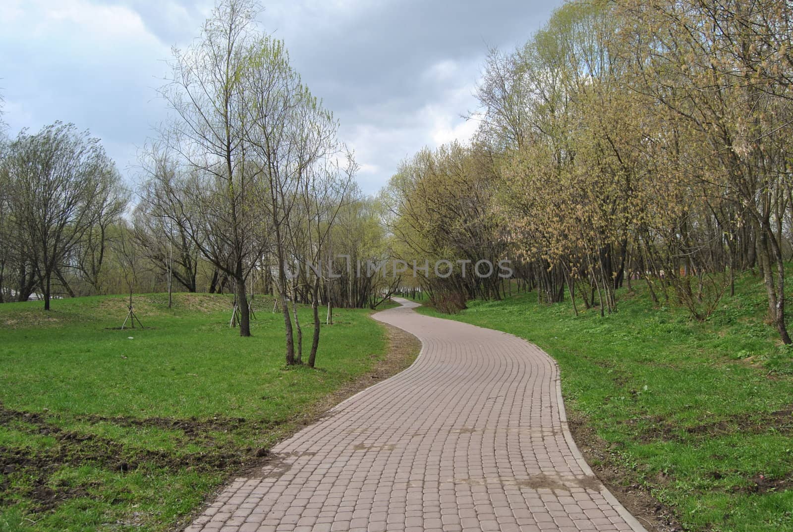 The path to the Spring Park by rogkoff