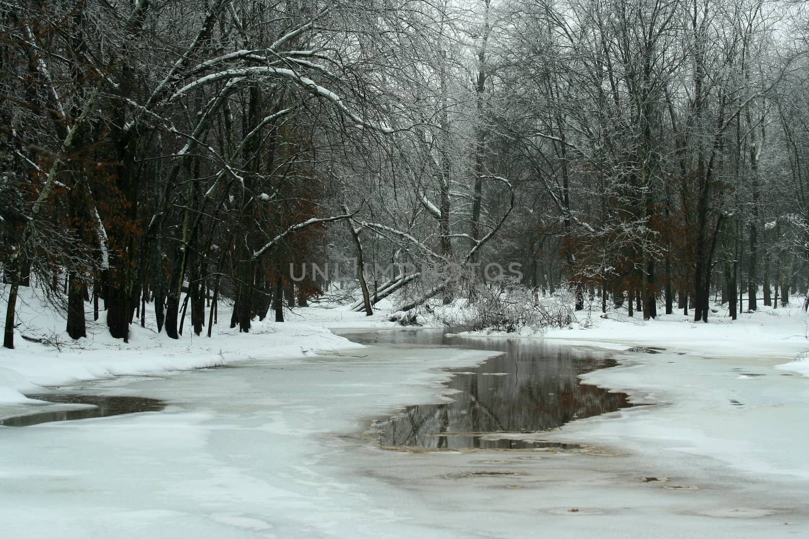 A Frozen pond in winter