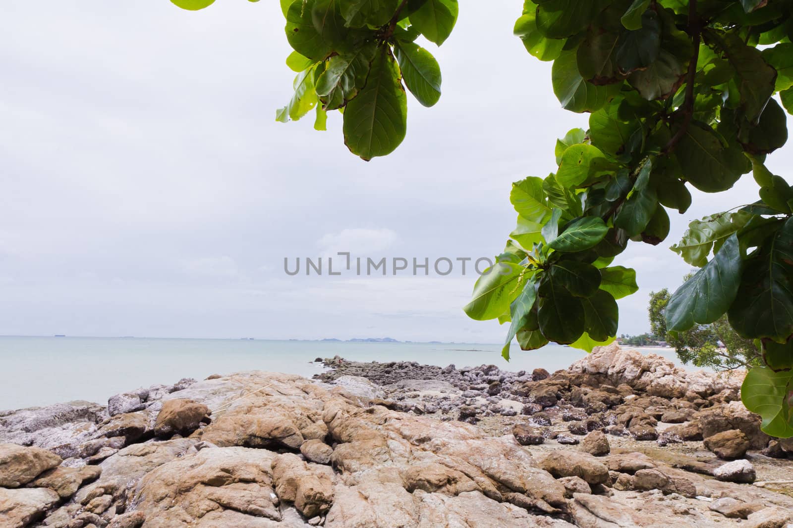 Beaches, rocky areas. The sea east of Thailand.