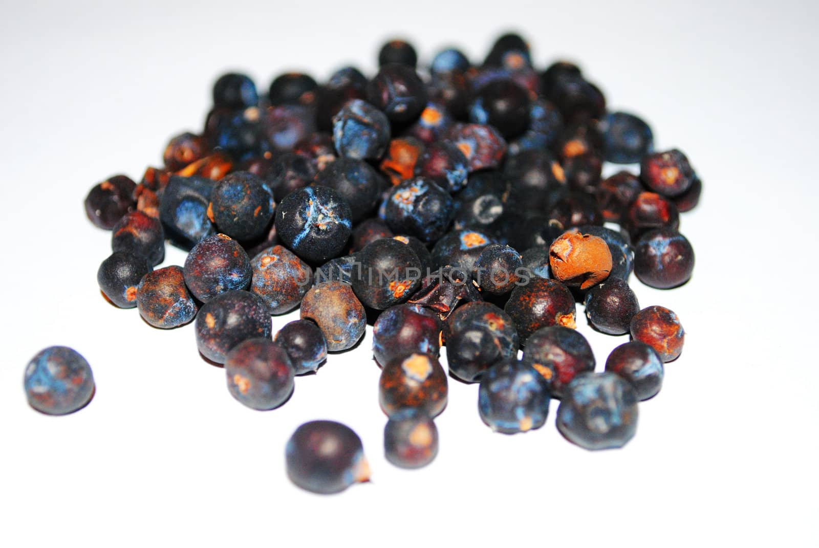 A pile of juniper berries (Juniperus Communis).