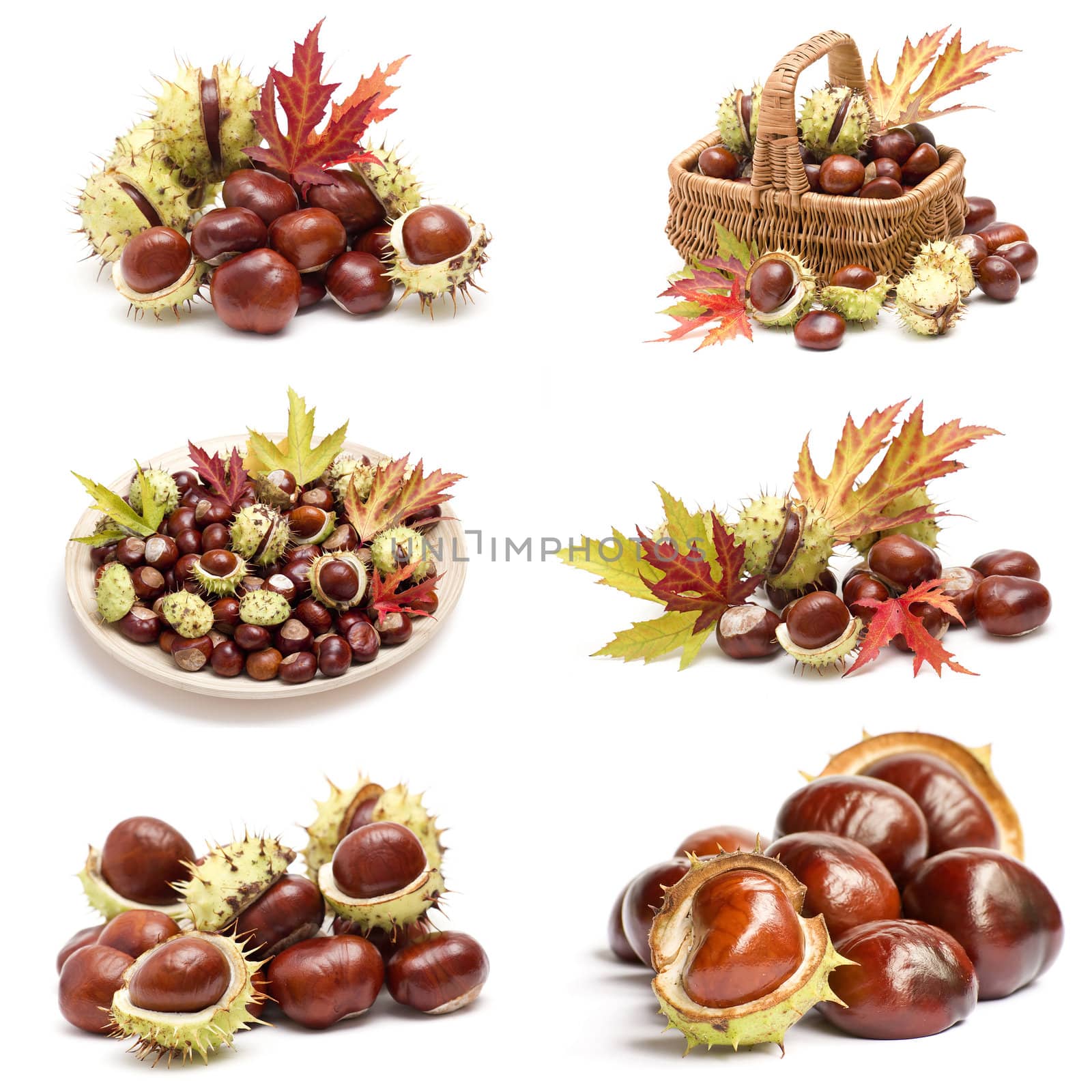 collection of chestnuts and autumnal leaves