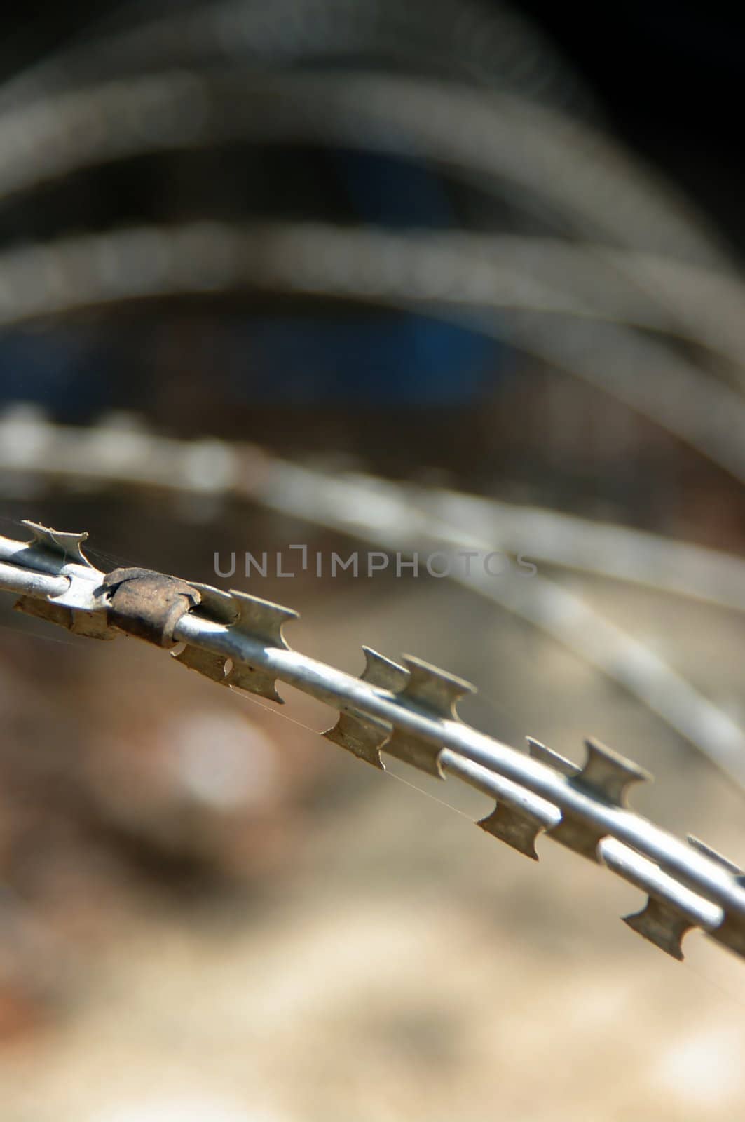 Old, rusting, barbed razor wire coils. Oblique light, shallow DoF