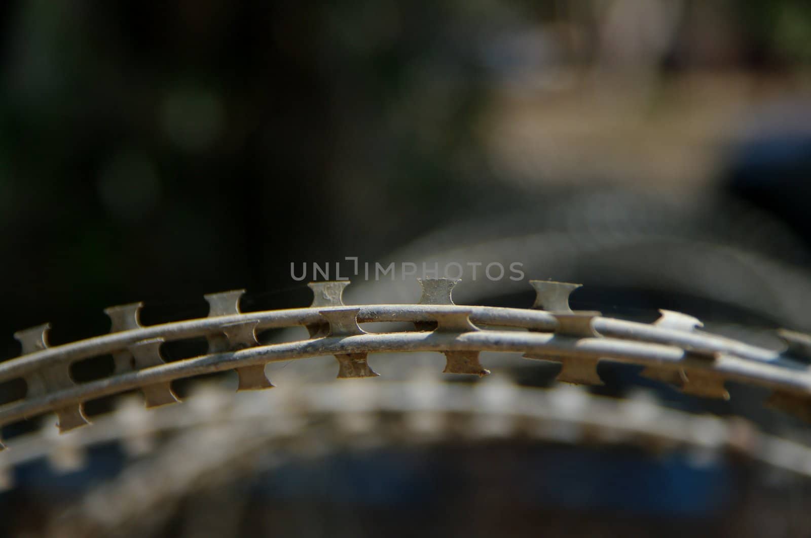 Old, rusting, barbed razor wire coils. Oblique light, shallow DoF