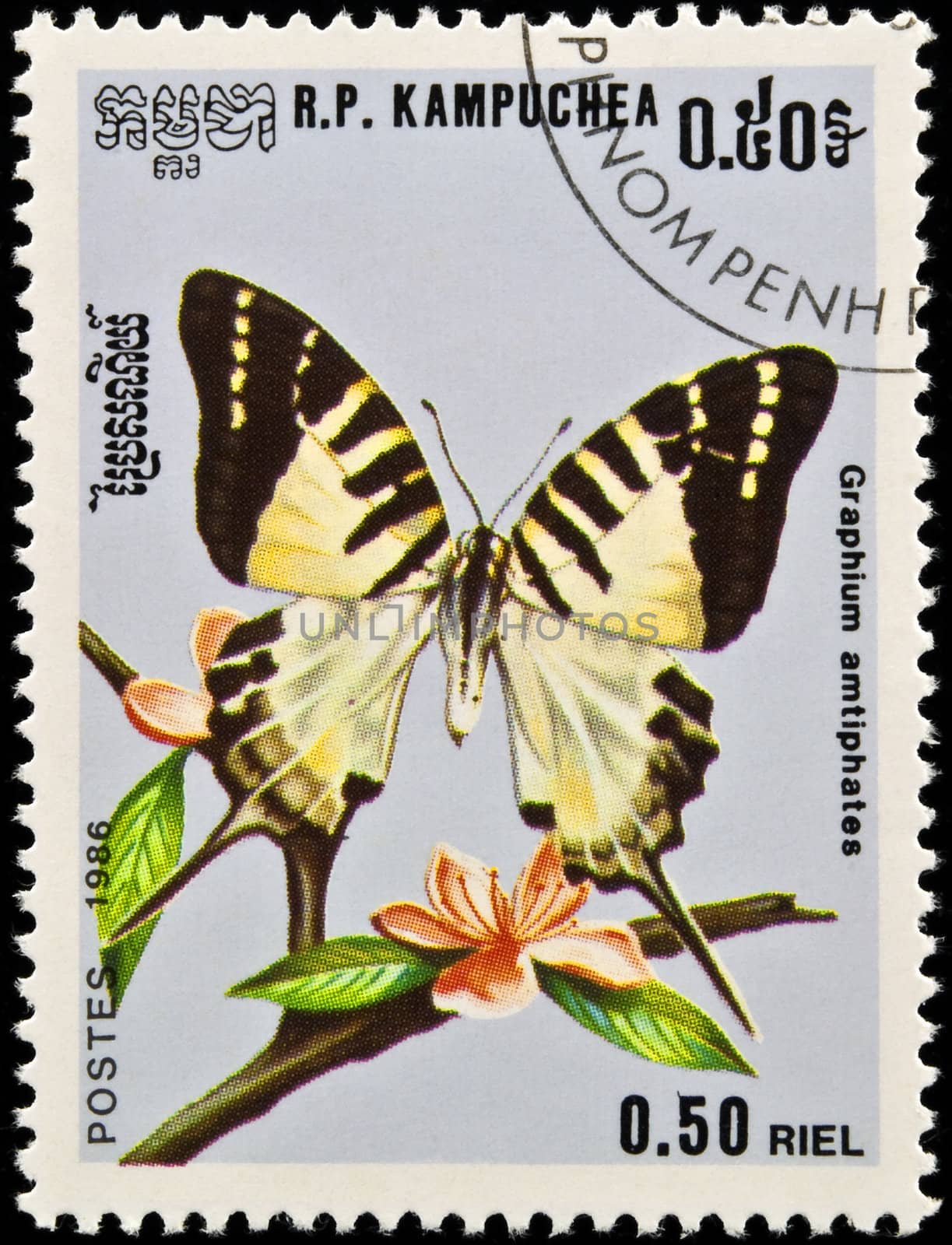 Stamp, butterfly and flower. by FER737NG