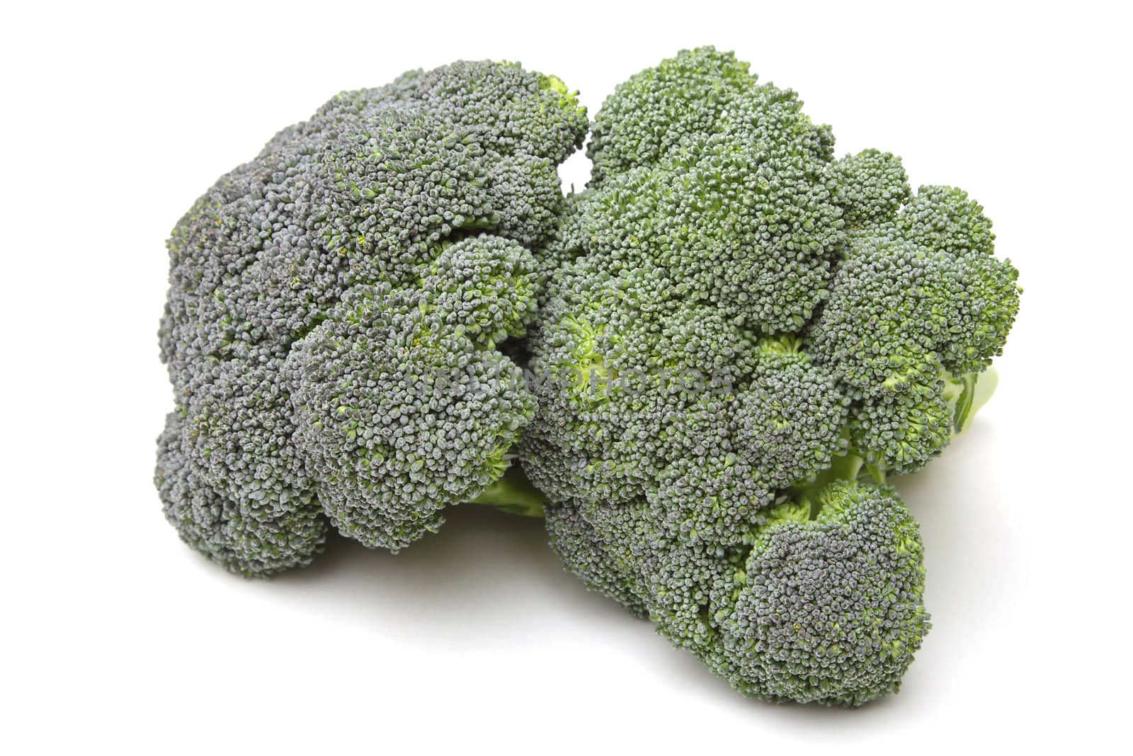 Broccoli by pulen