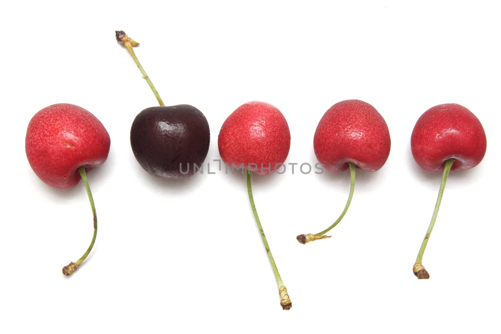 Dark cherry among red ones isolated on white background