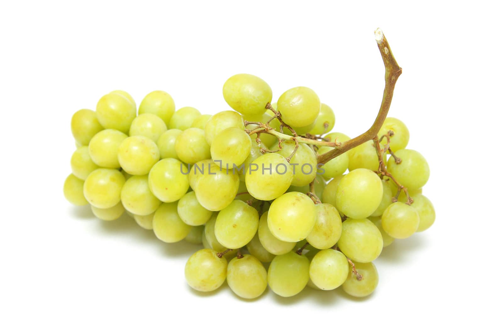 A branch of grapes isolated on white background