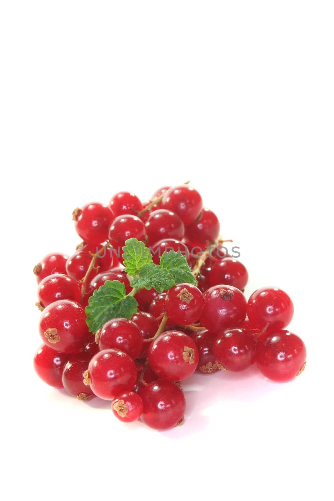 fresh currant with leaf on a white background