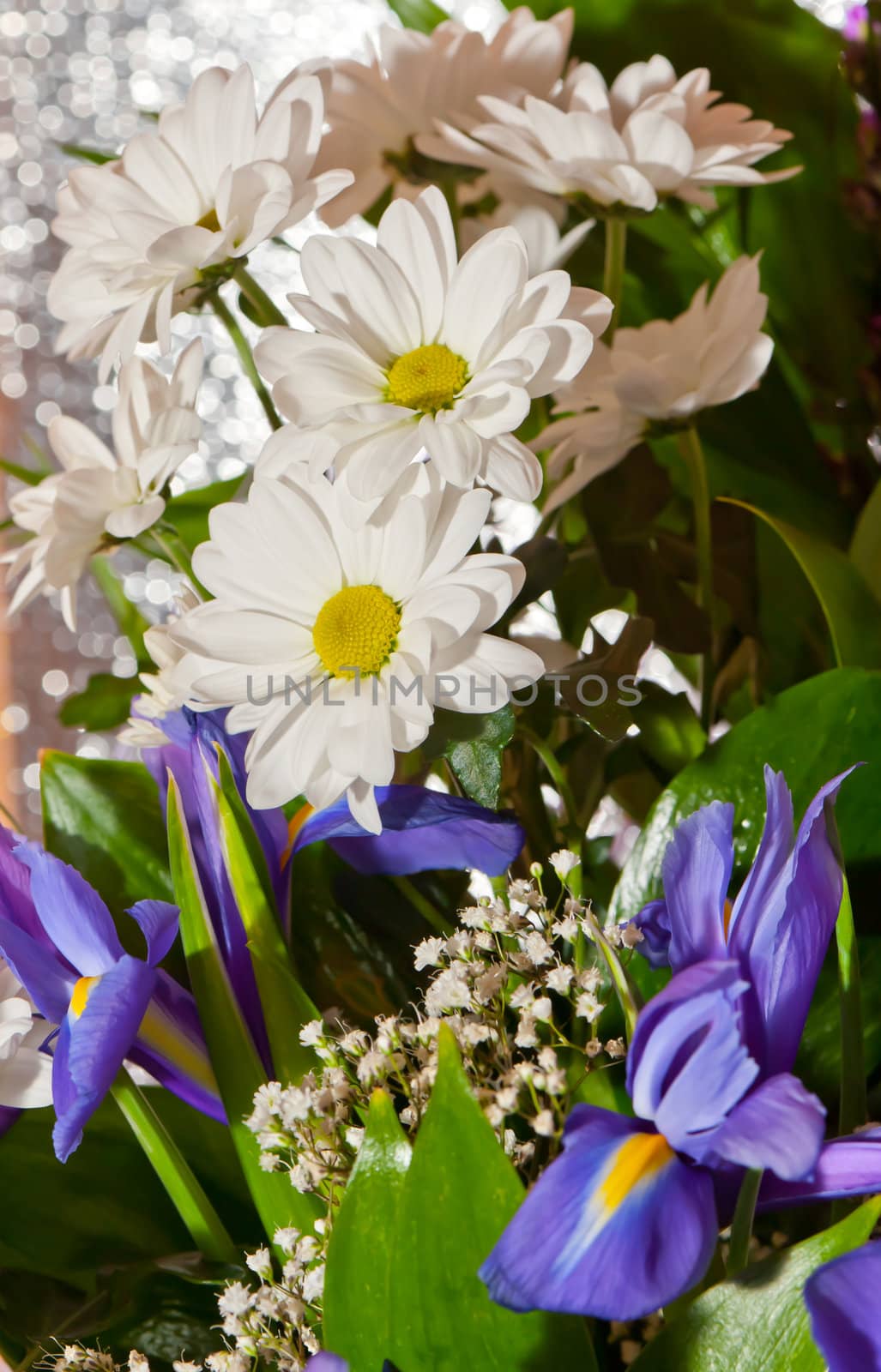 Bouquet of white chrysanthemums. Spring flowers