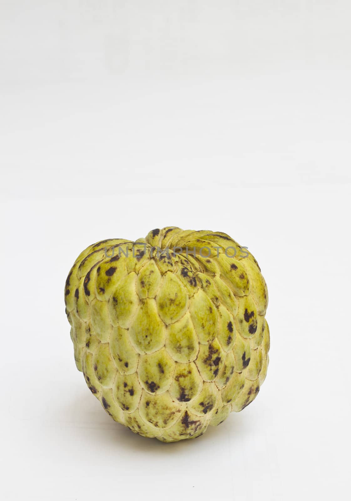 Custard Apple by Sukha