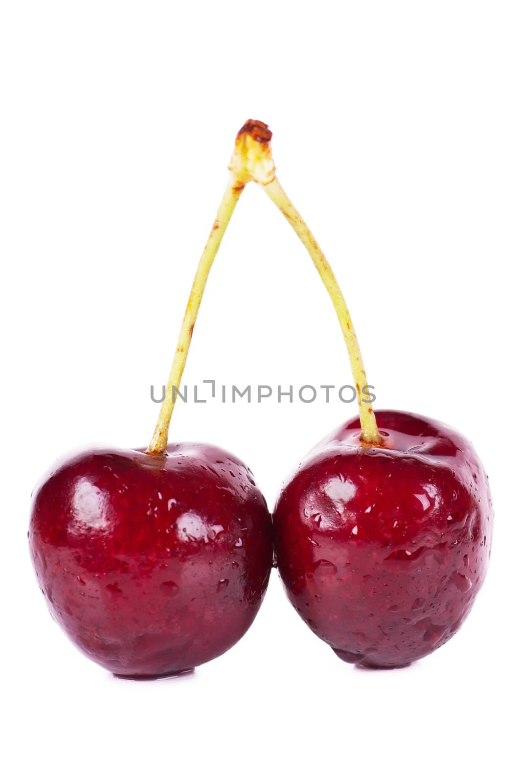 Cherry by AGorohov