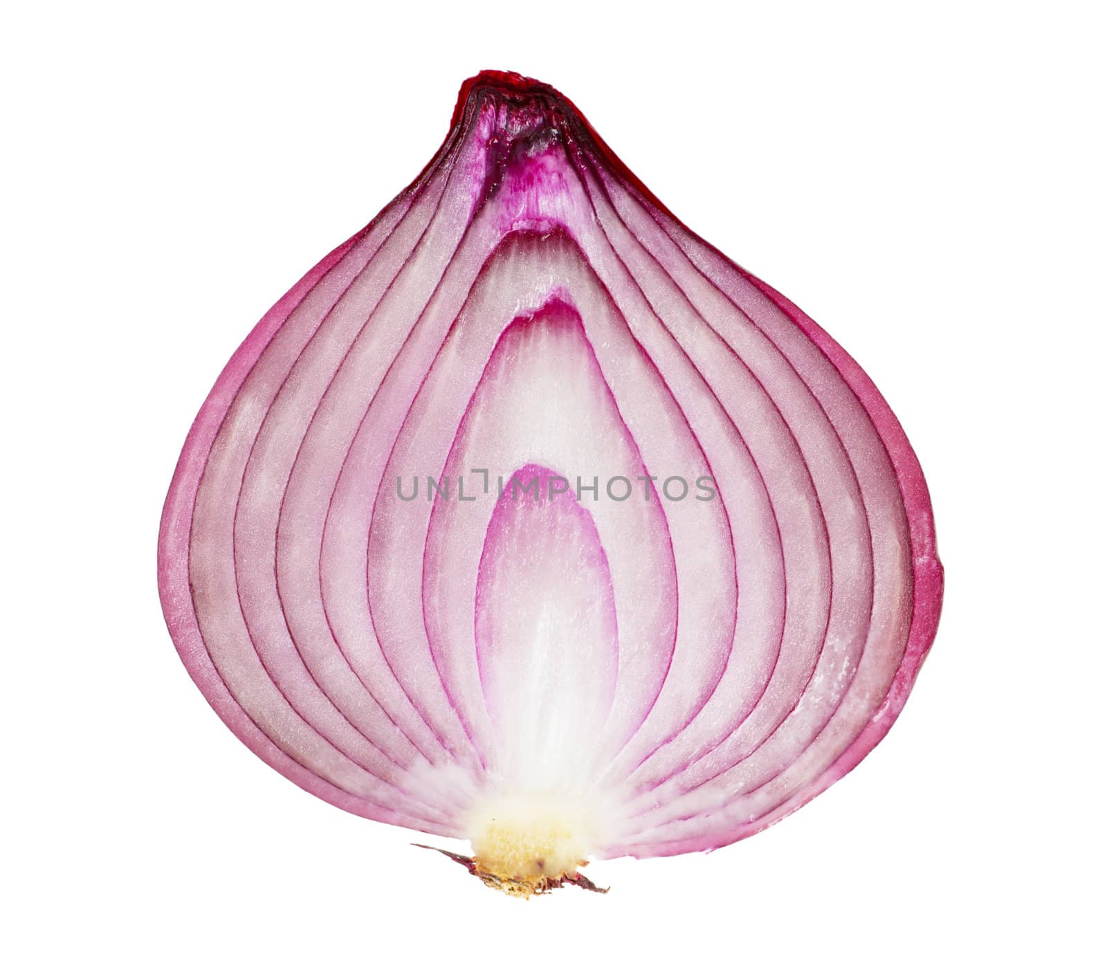 A red onion, sliced in half, isolated on white background