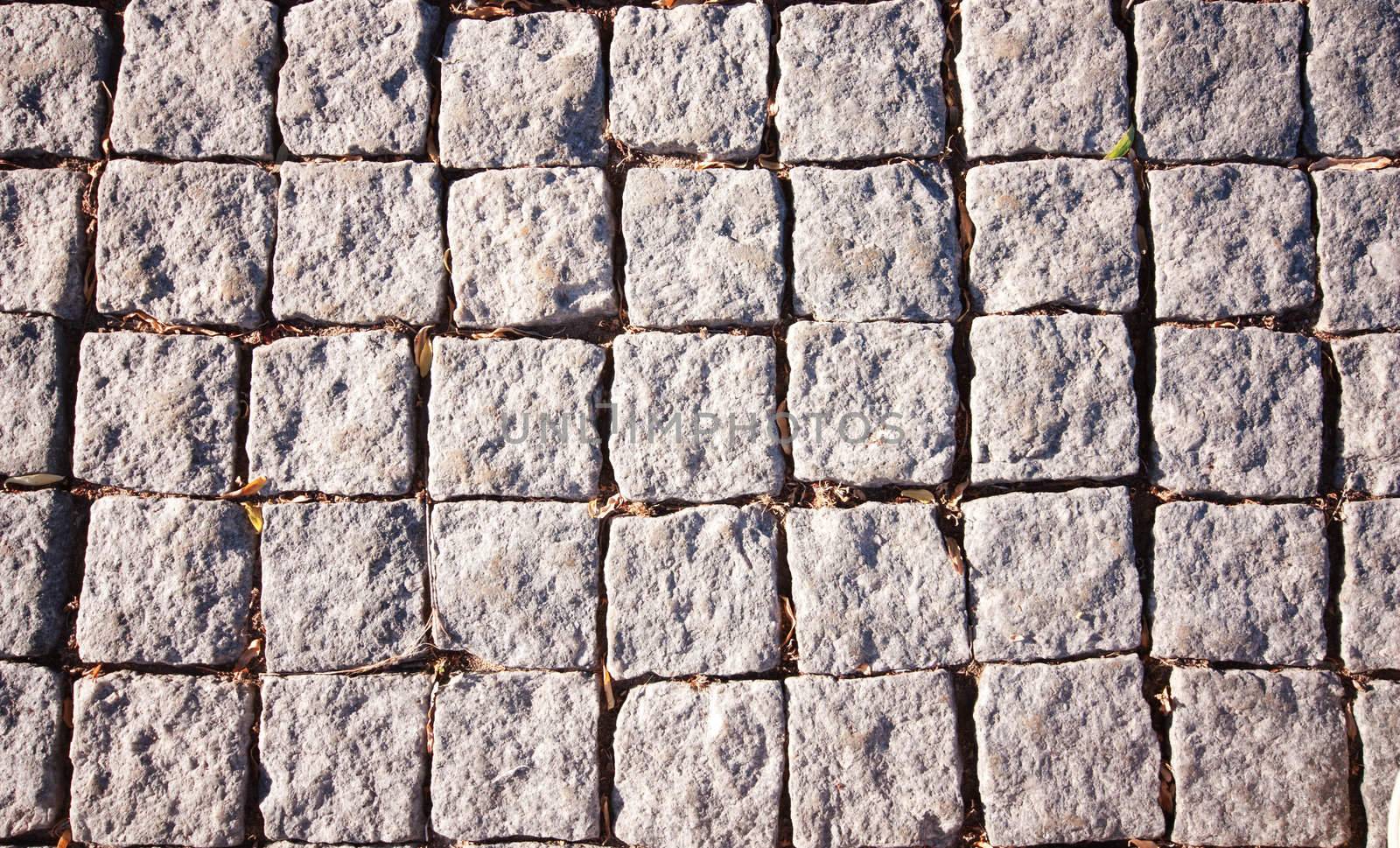 Detailed tiled cobbled pavement road surface texture close-up