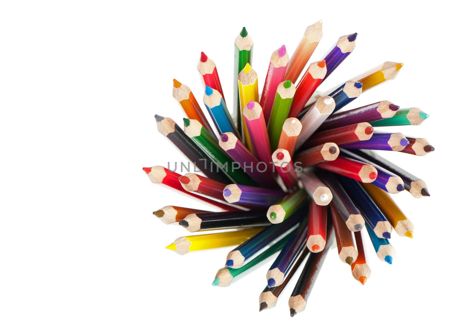 color pencil by galdzer