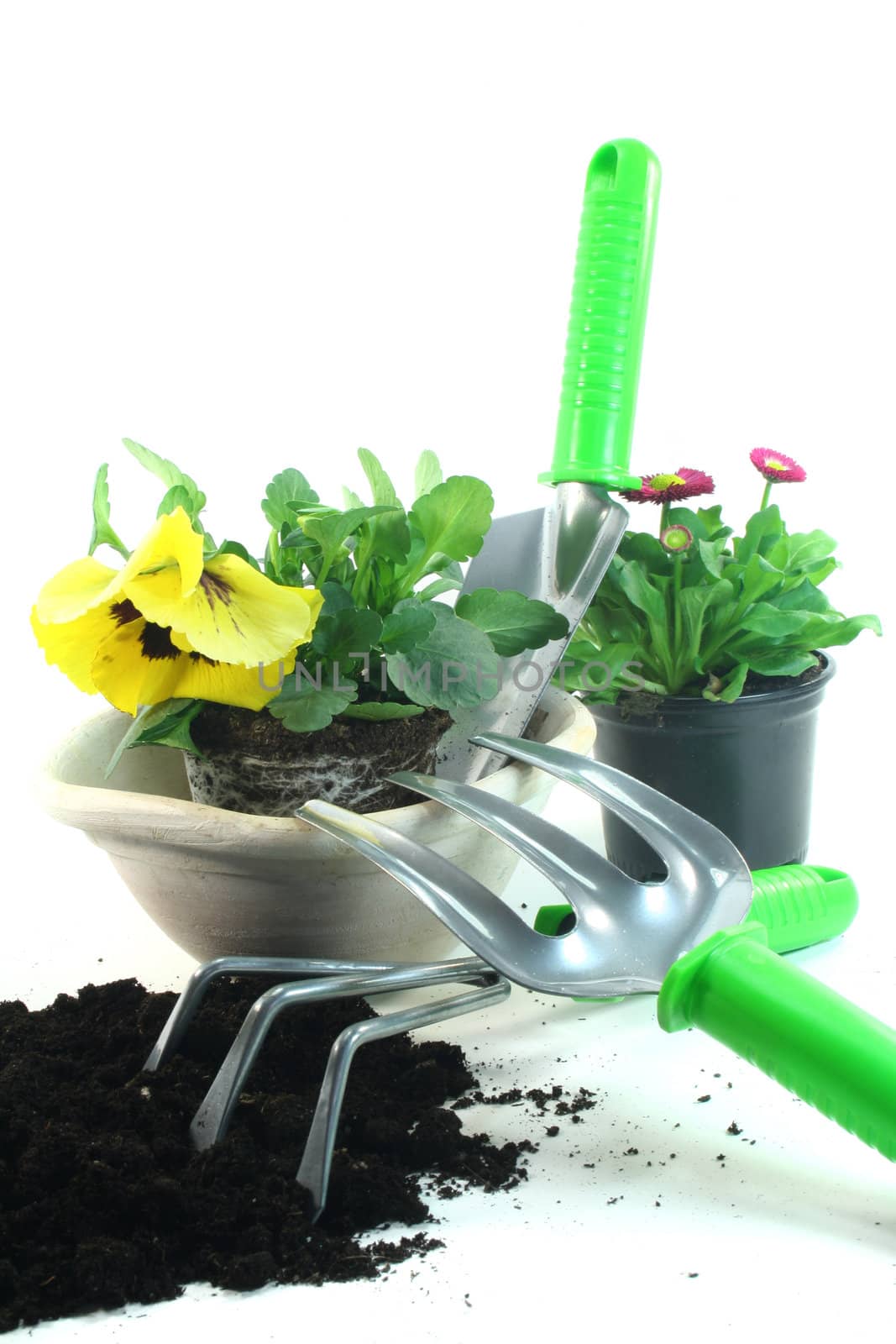 various tools for planting with pansies and daisies