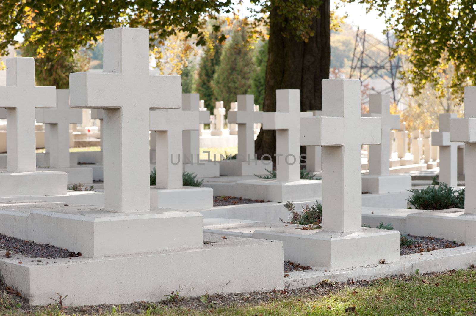 Military cemetery. Since its creation in 1787 Lychakiv Cemetery Lvov, Ukraine