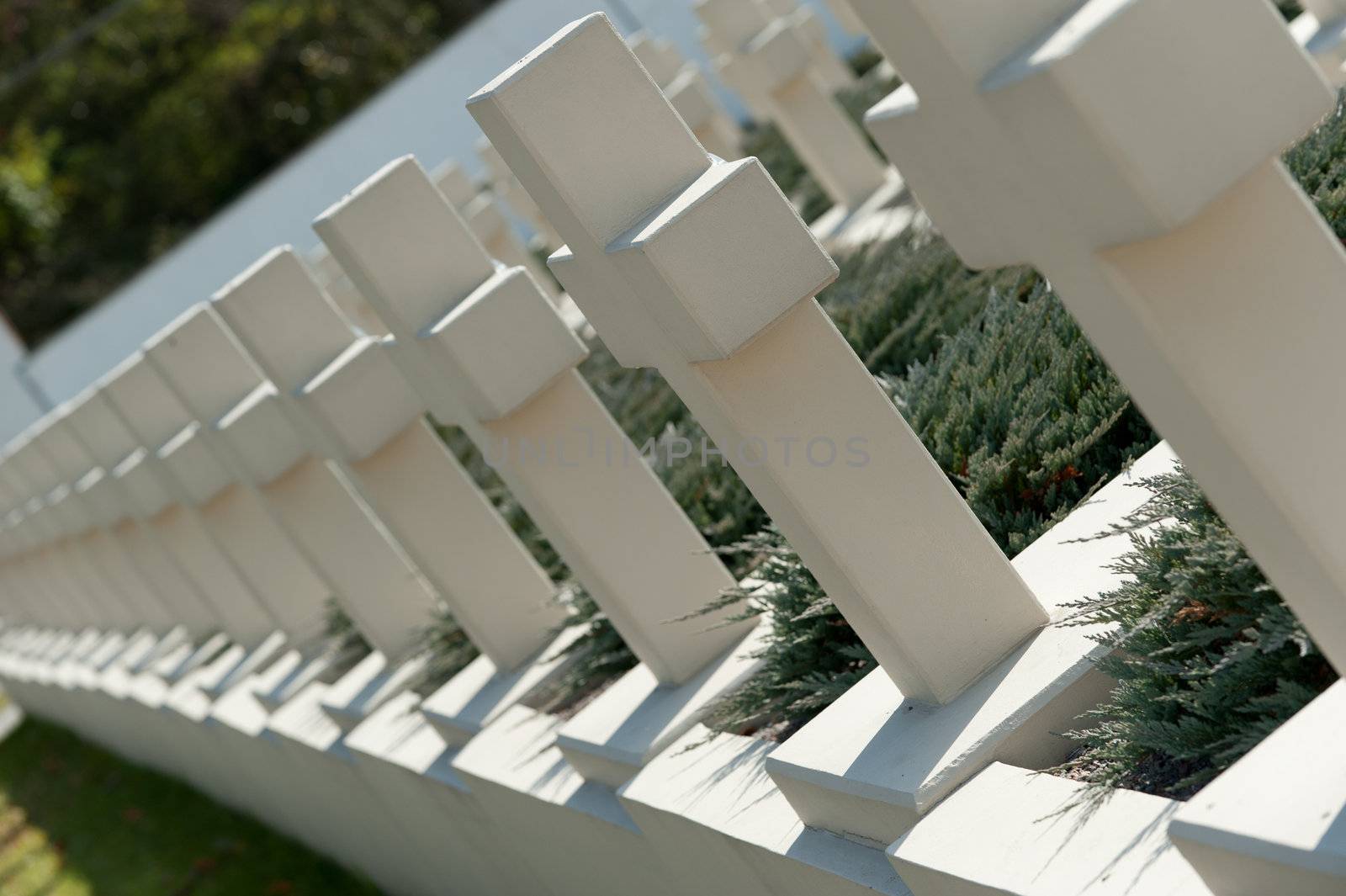 Military cemetery. Since its creation in 1787 Lychakiv Cemetery Lvov, Ukraine