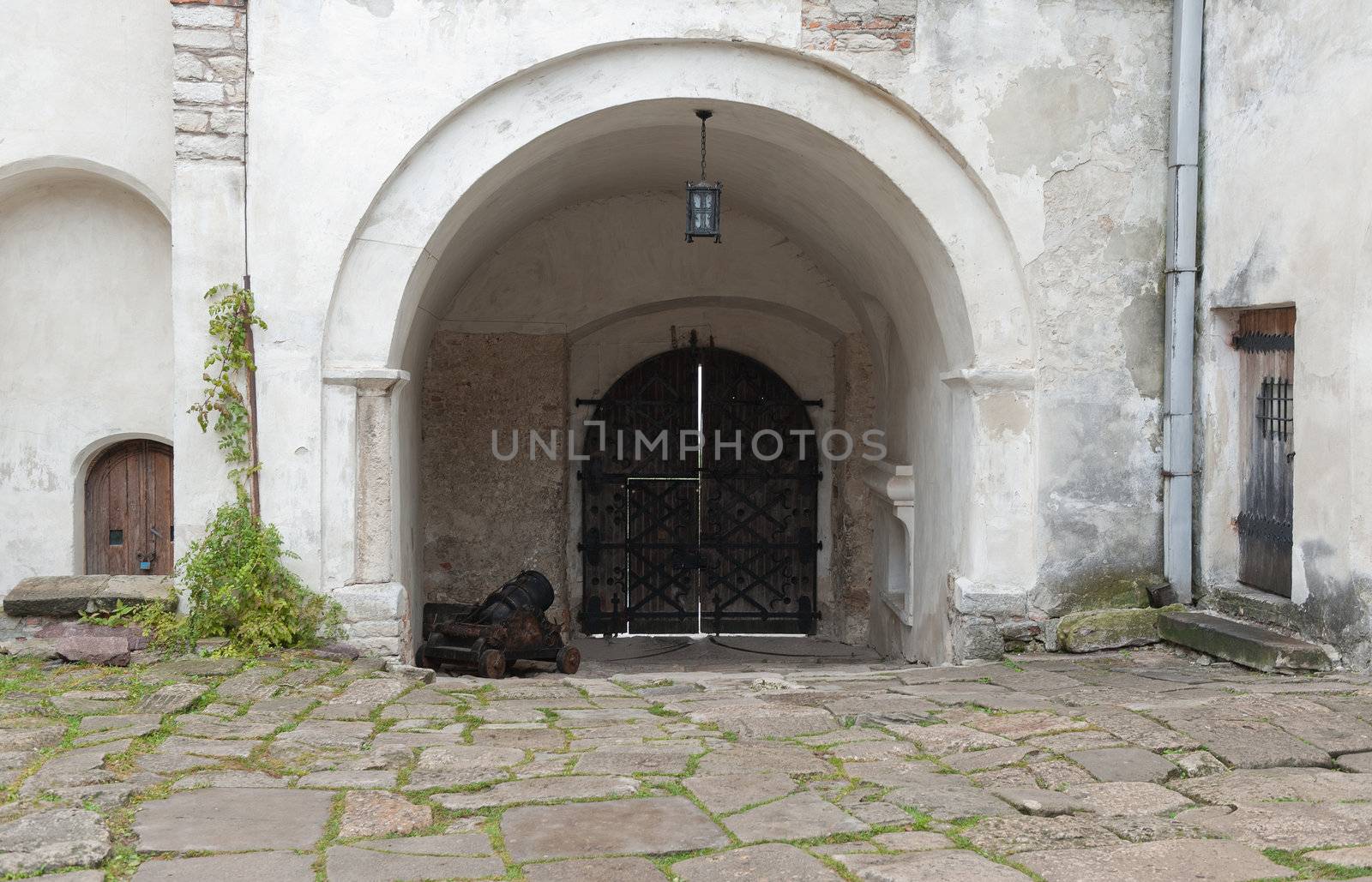 Arch input with a gun old castle. Lvov, Ukraine