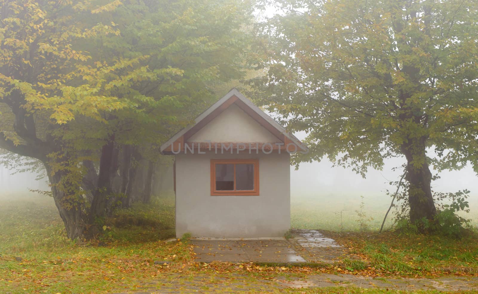 Small house in foggy forest. Autumn weather