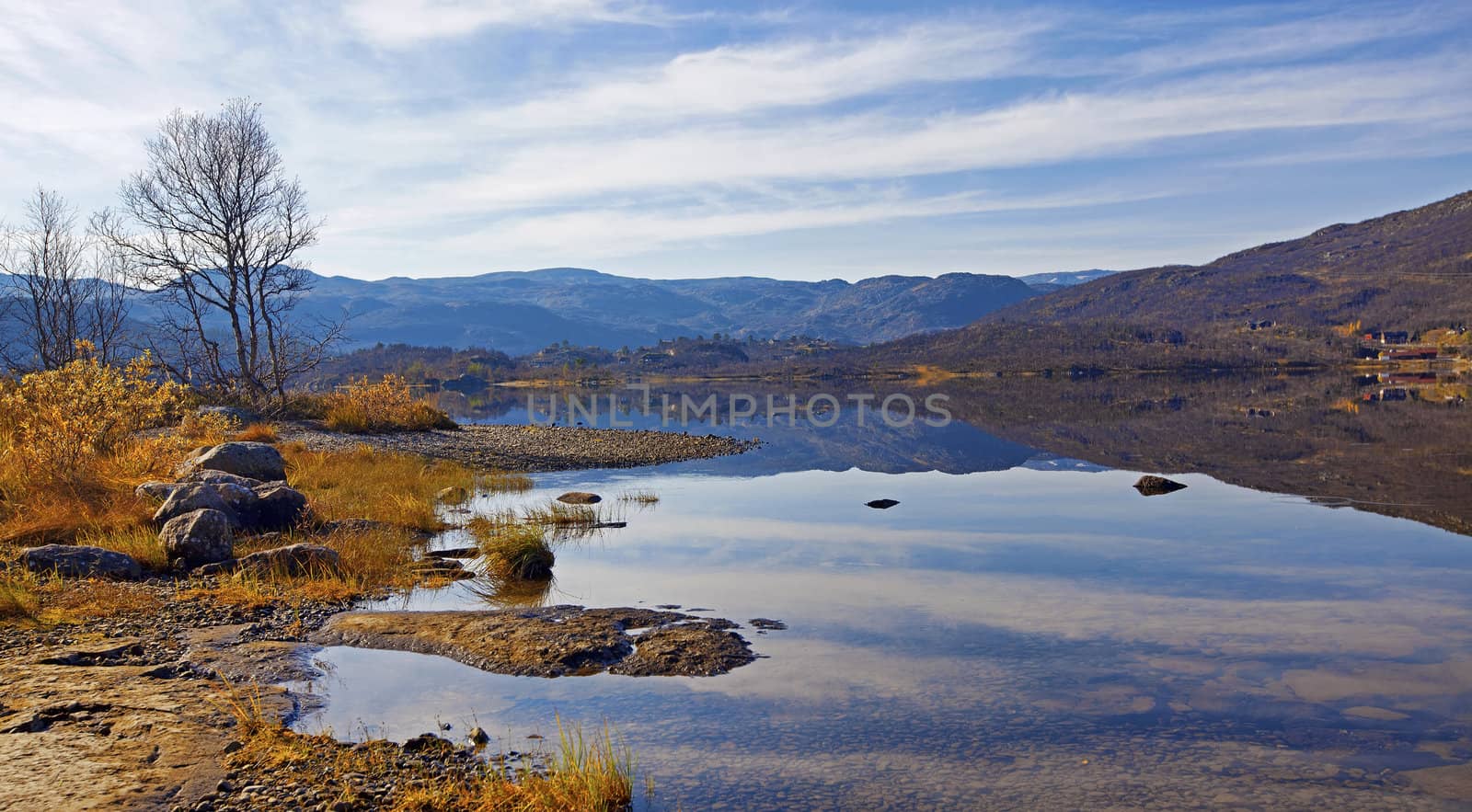 Peacefull lake, bare trees and autumn colors at Haukeli, Norway