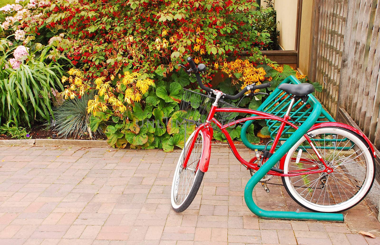 Red bicycle in the garden