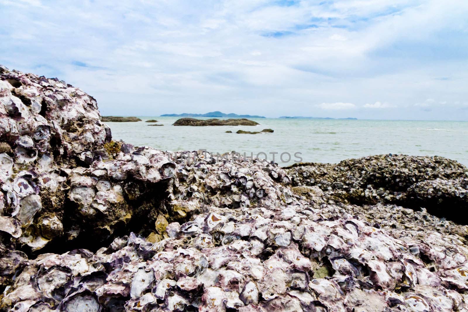 Beaches, rocky areas. The sea east of Thailand.