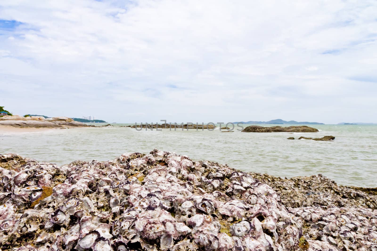 Beaches, rocky areas. The sea east of Thailand.