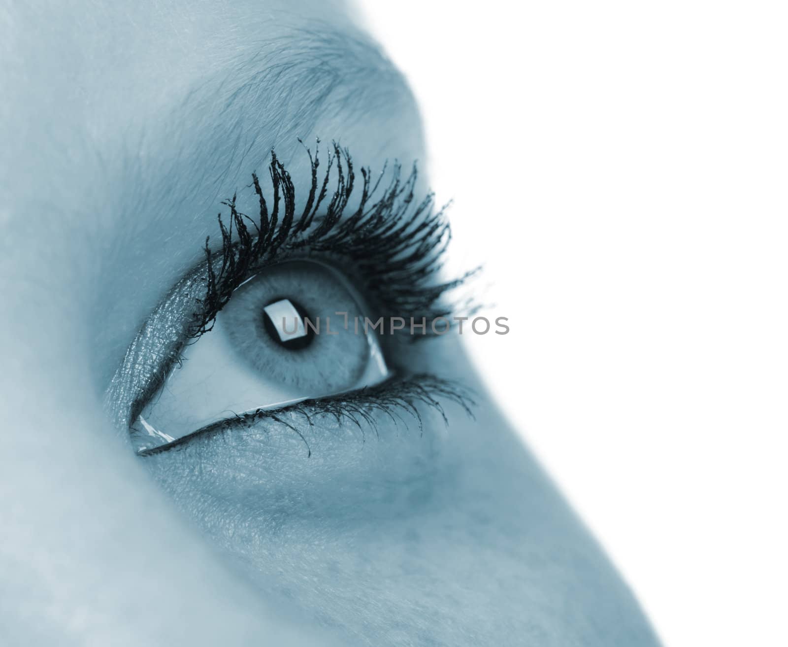 Female eye - blue tone by galdzer