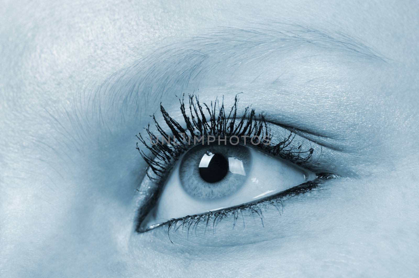 Female eye - blue tone by galdzer