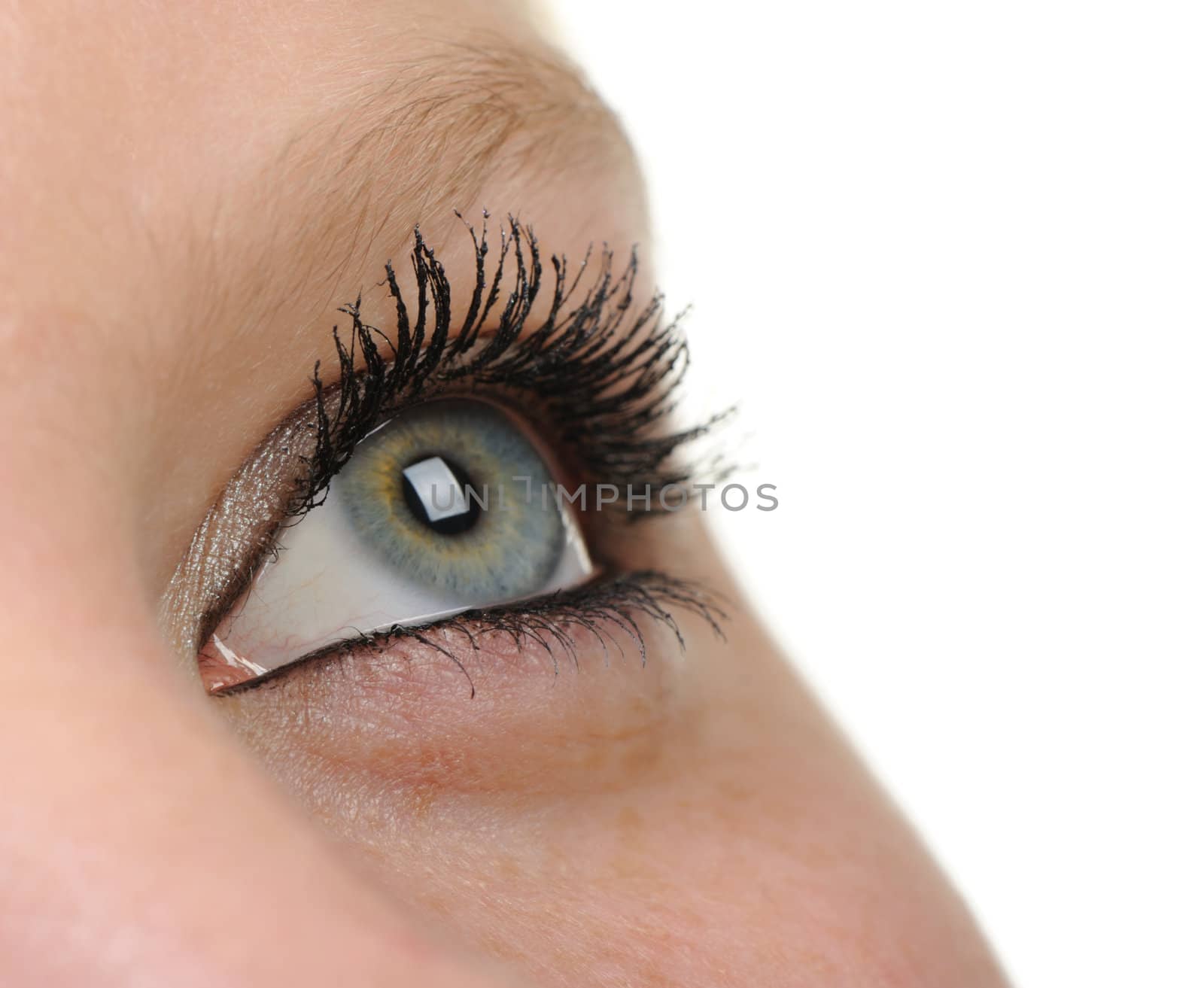 Female eye. A photo close up