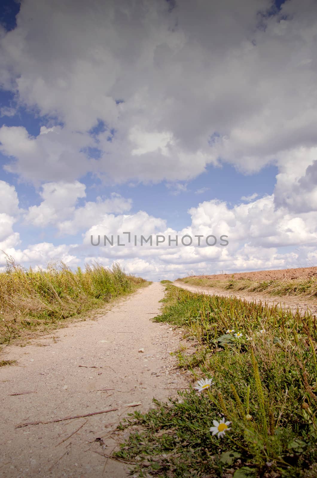 Closeup of rural gravel road under amazing cloudy sky.