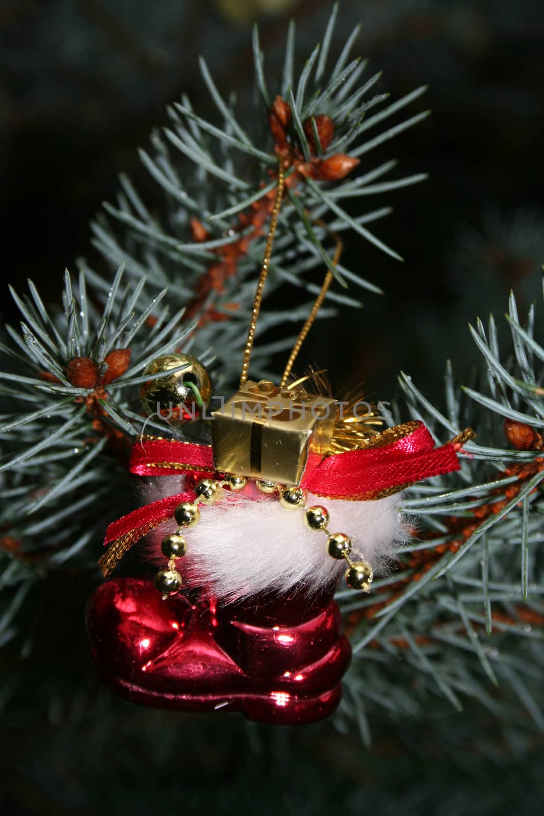 Christmas ornaments on pine branch