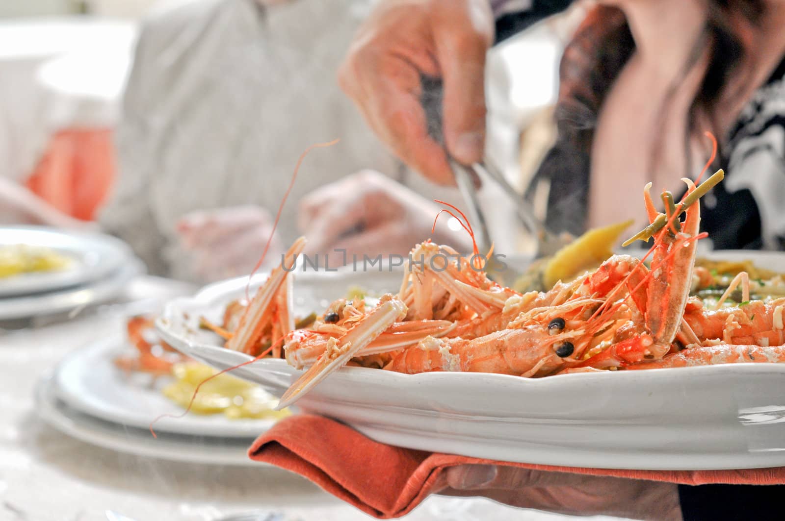 Spiny lobsters, also known as langouste or rock lobsters Palinuridae