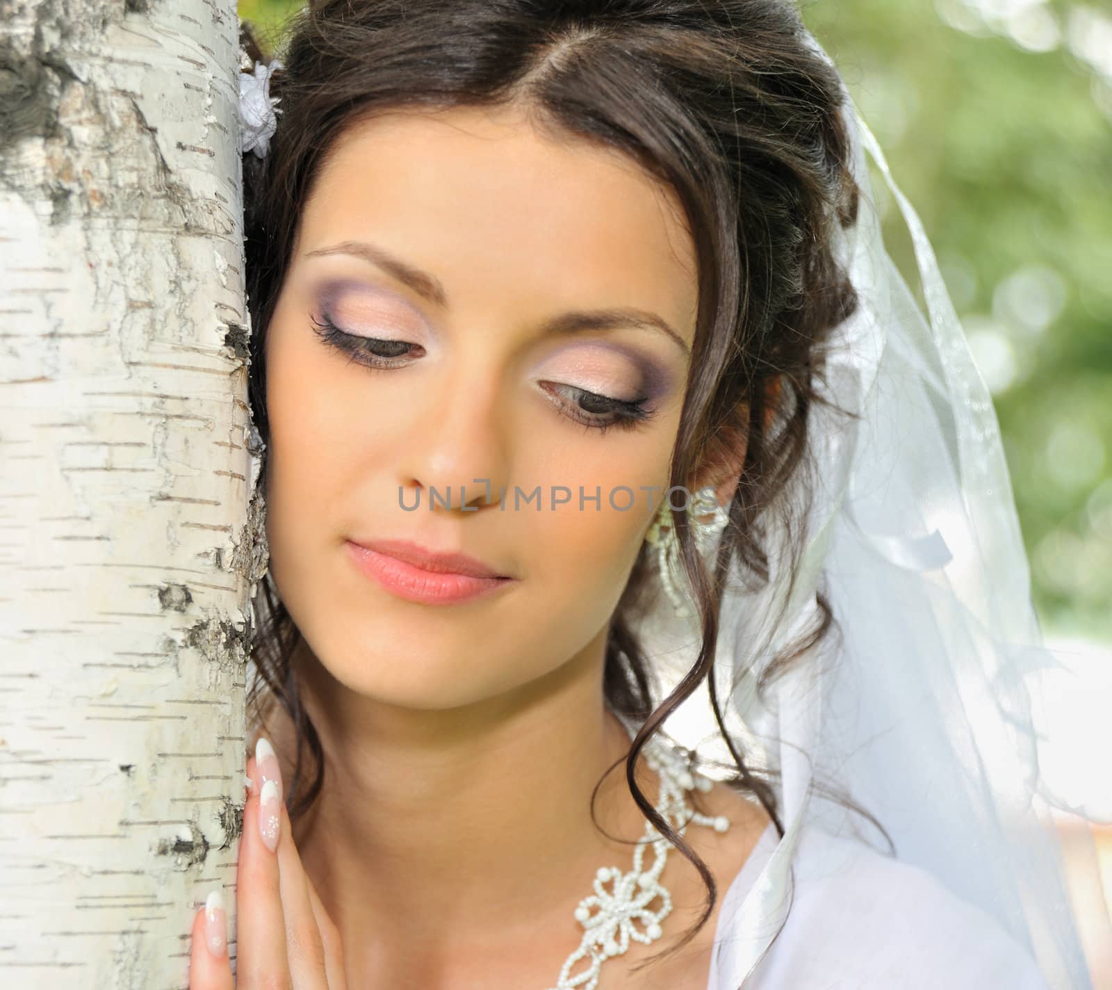The bride and a birch The young girl in a wedding dress.