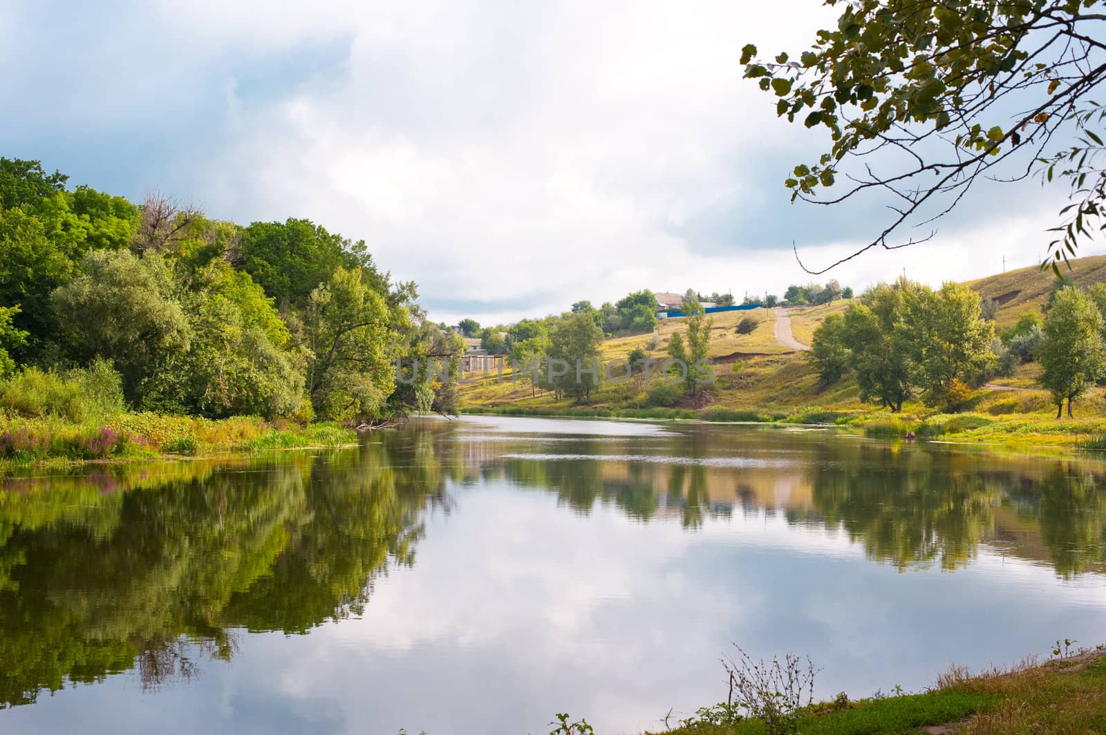 Picturesque forest and the river. Ukraine. Seversky Doneth