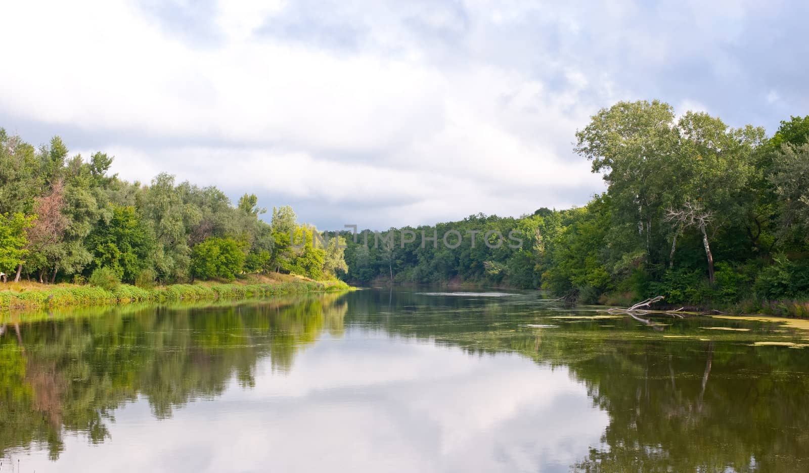 Picturesque forest and the river. Ukraine. Seversky Doneth