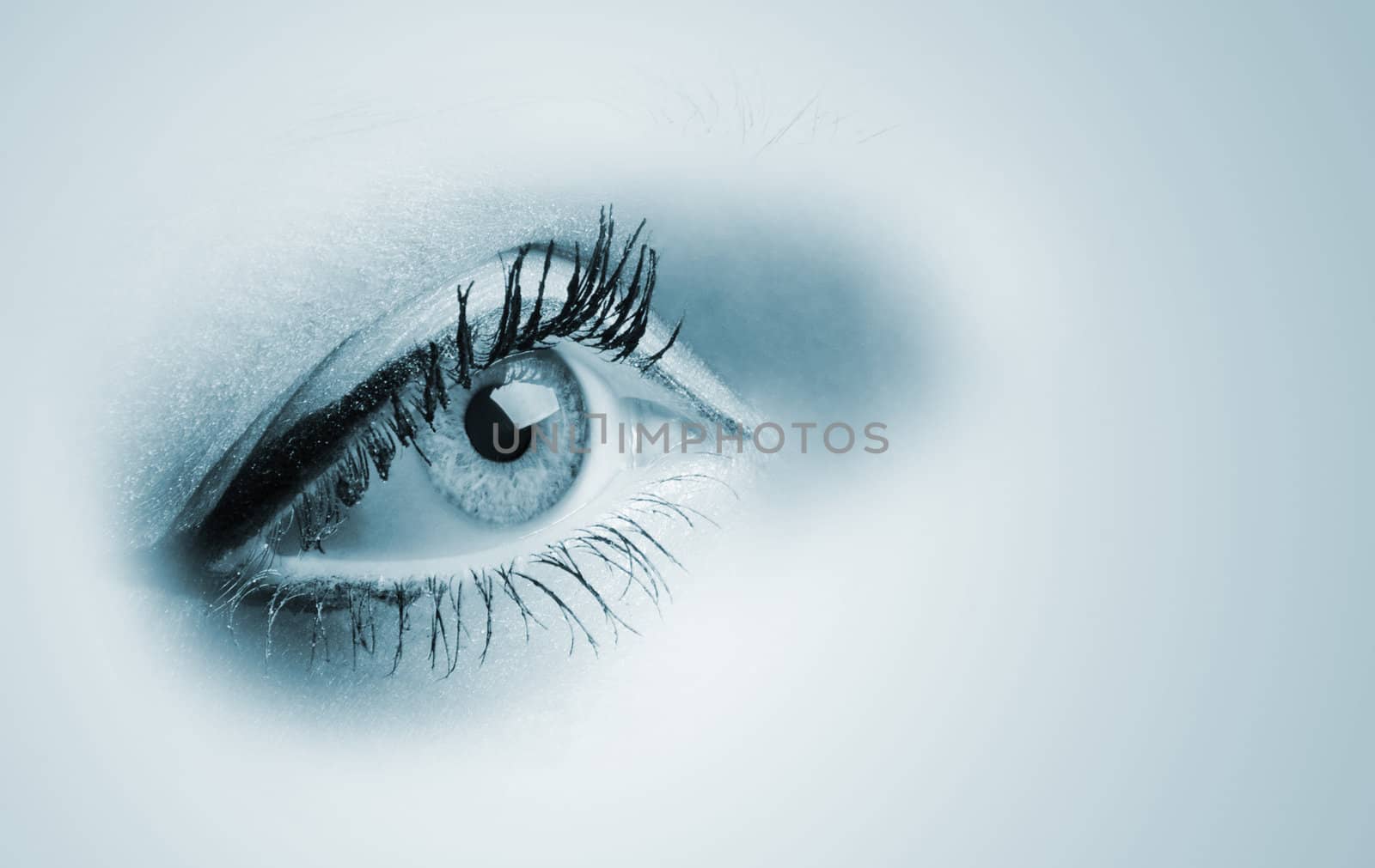 Female blue eyes. A photo close up, a part face