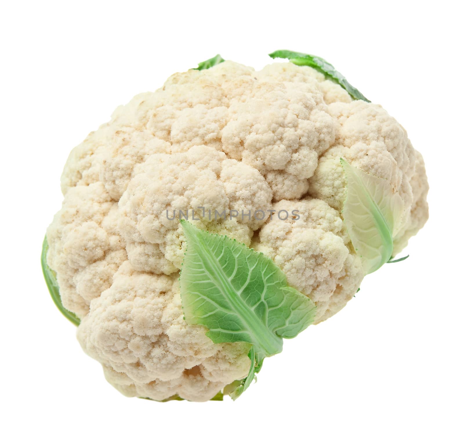 Cauliflower. It is isolated on a white background
