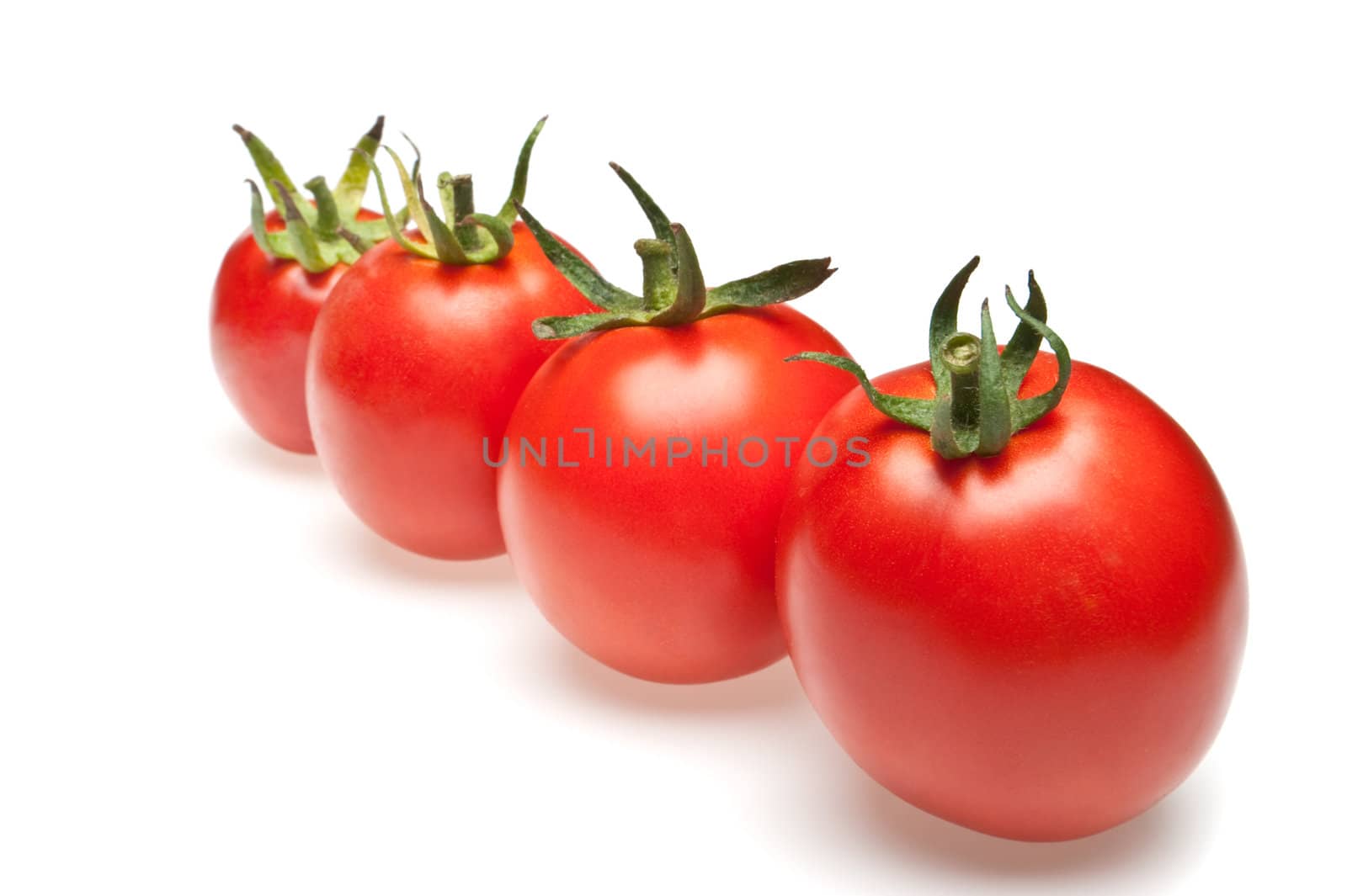 tomatoes in row. It is isolated on a white background
