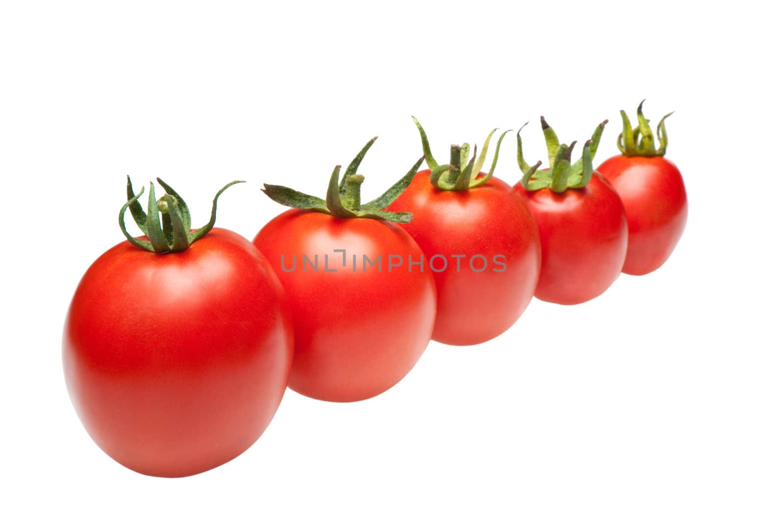 tomatoes in row. It is isolated on a white background