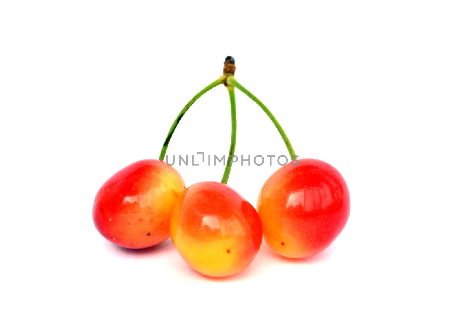red cherries on a white background isolated