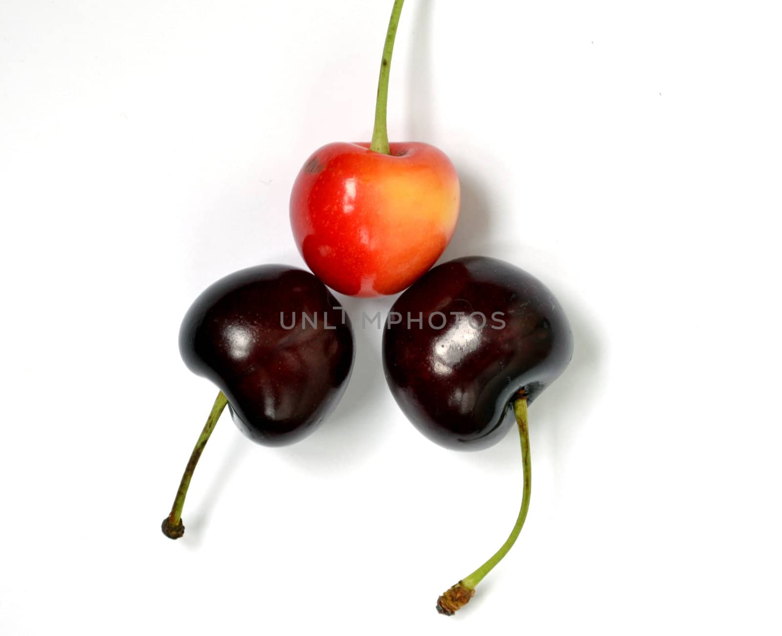 red cherries on a white background isolated