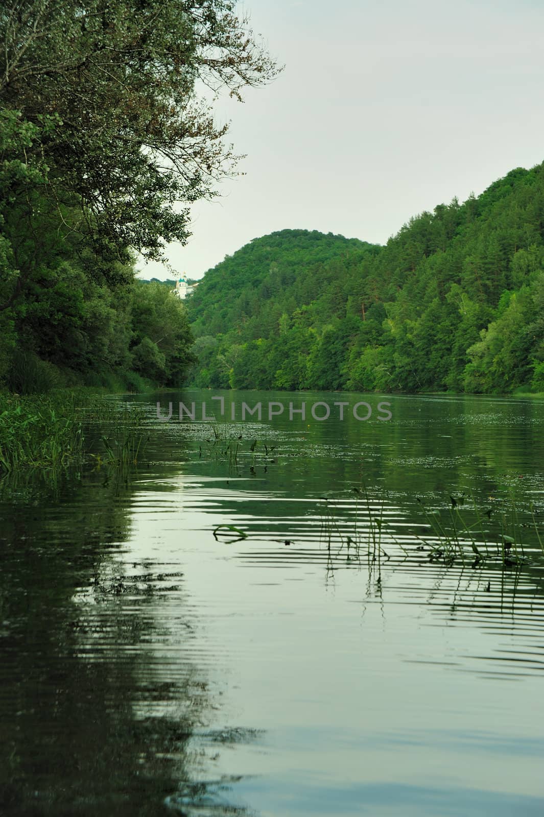 Picturesque forest and the river. Small river at bottom of mountain with mixed by a wood in the East Europe. Ukraine.