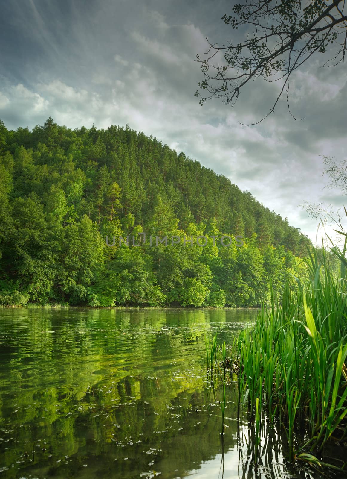 Picturesque forest and the river. Small river at bottom of mountain with mixed by a wood in the East Europe. Ukraine.