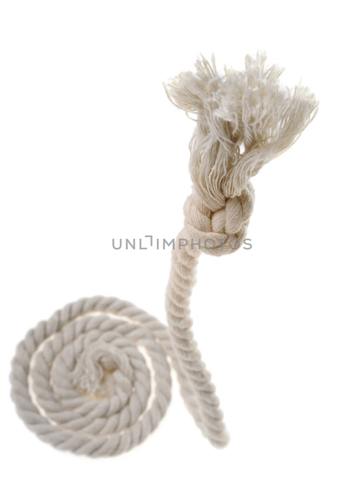 Cord with knot. by galdzer