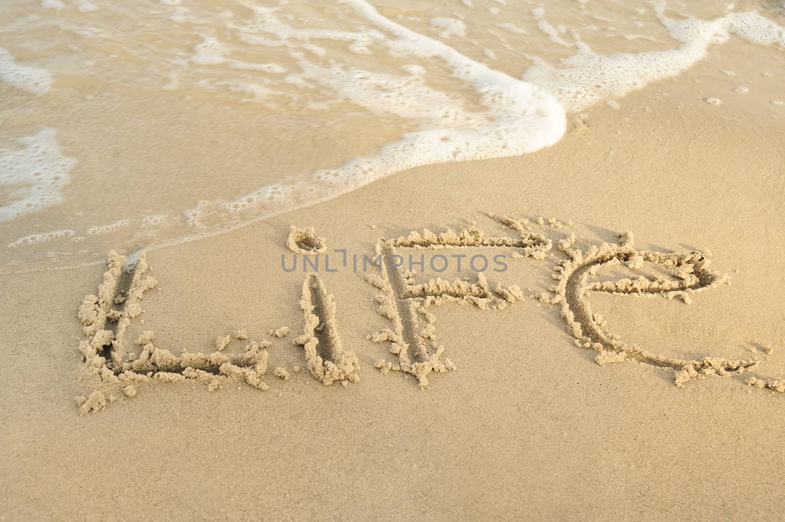 Inscription "life" on sand. Sea coast with a rolling wave on an inscription