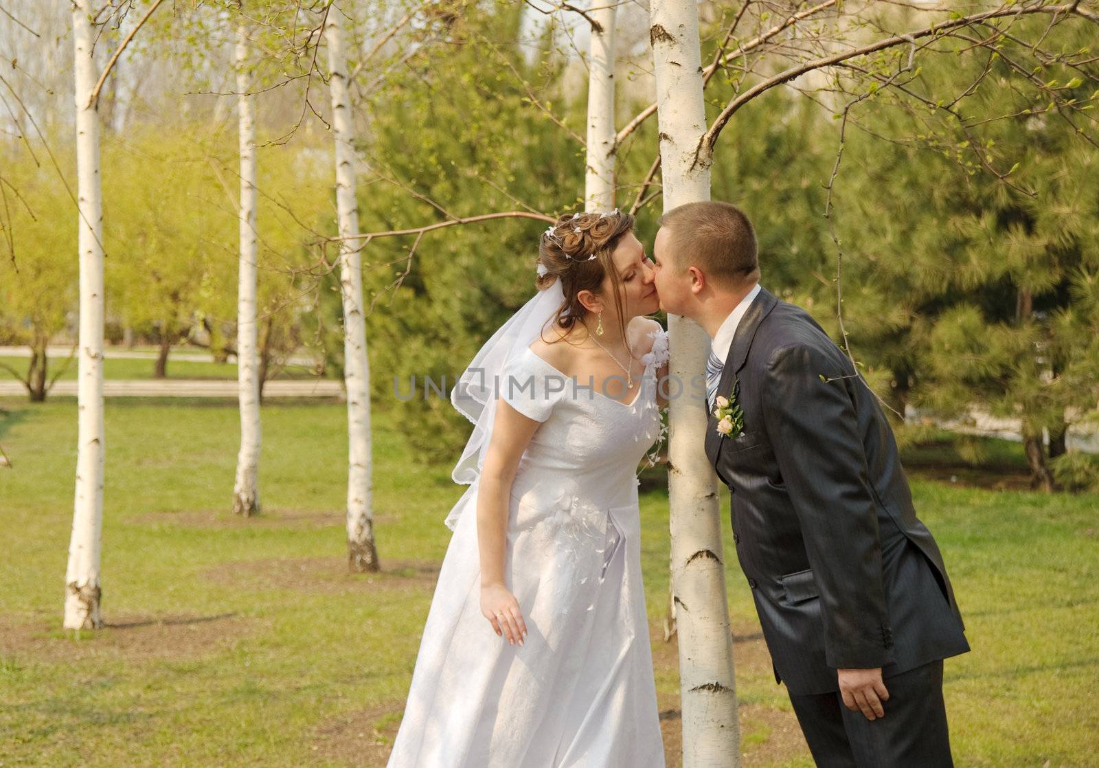 Newly-married couple. Pair young men in wedding day